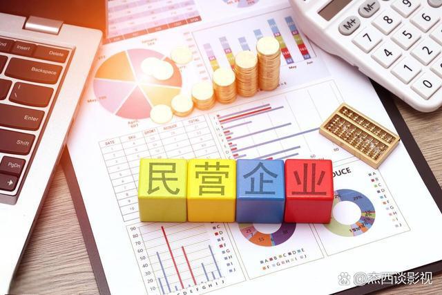 民营企业资本规划(民营企业资本规划包括哪些)自贡市