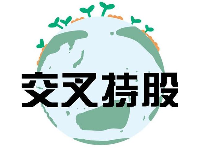 交叉持股安排设计(交叉持股怎么计算持股比例)自贡市