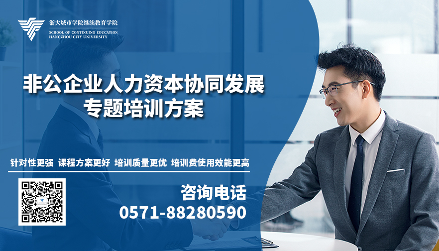 资本服务定制方案(资本服务定制方案设计)自贡市