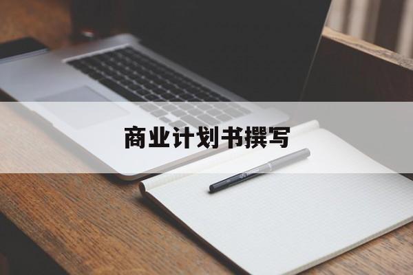 商业计划书撰写(商业计划书撰写常见的问题包括)自贡市