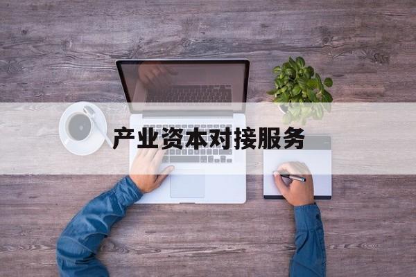 产业资本对接服务(产业资本对接服务包括哪些)自贡市